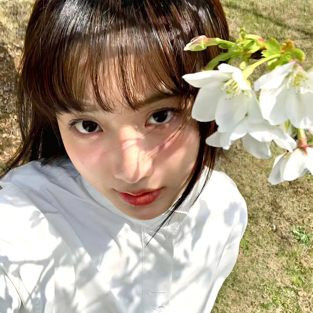 秋泳愚 